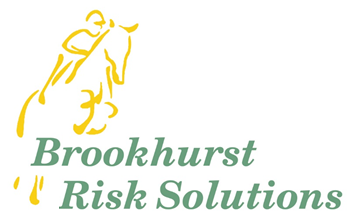 Brookhurst Risk Solutions Logo
