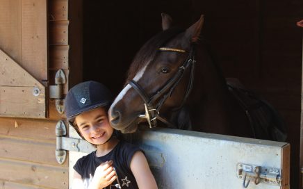 horse insurance