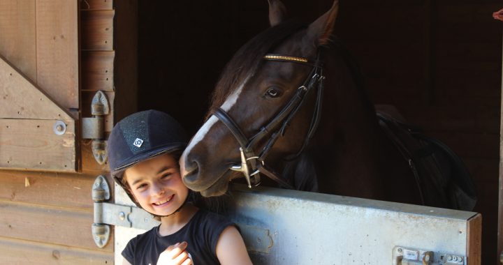 horse insurance
