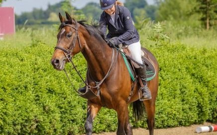 Horse Insurance - Brookhurst Risk Solutions